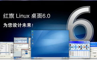 国产操作系统百花齐放，软件技术开发迎来新机遇与挑战